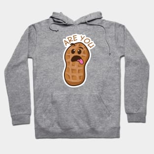 ARE YOU NUTS?! Hoodie